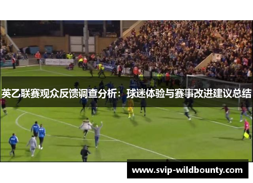 英乙联赛观众反馈调查分析:球迷体验与赛事改进建议总结 英乙联赛观众反馈调查分析:球迷体验与赛事改进建议总结