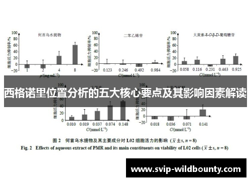 西格诺里位置分析的五大核心要点及其影响因素解读