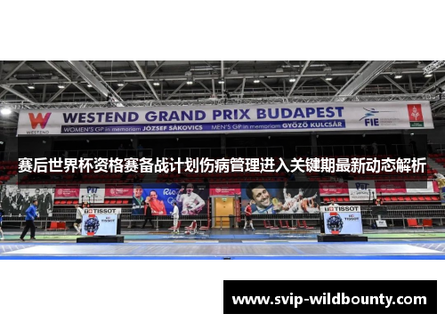 赛后世界杯资格赛备战计划伤病管理进入关键期最新动态解析